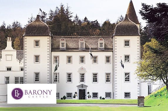 Barony Castle