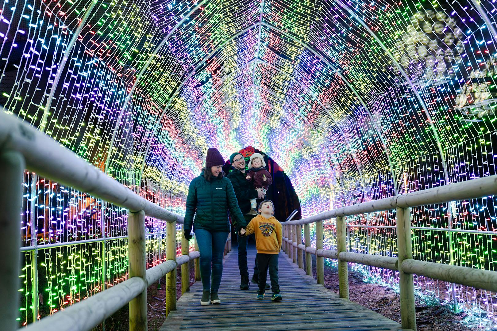 Landmark Forest Adventure Park