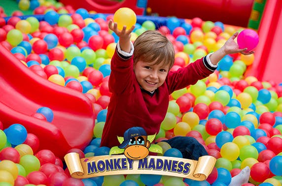 Monkey Madnesss