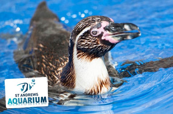 St Andrews Aquarium