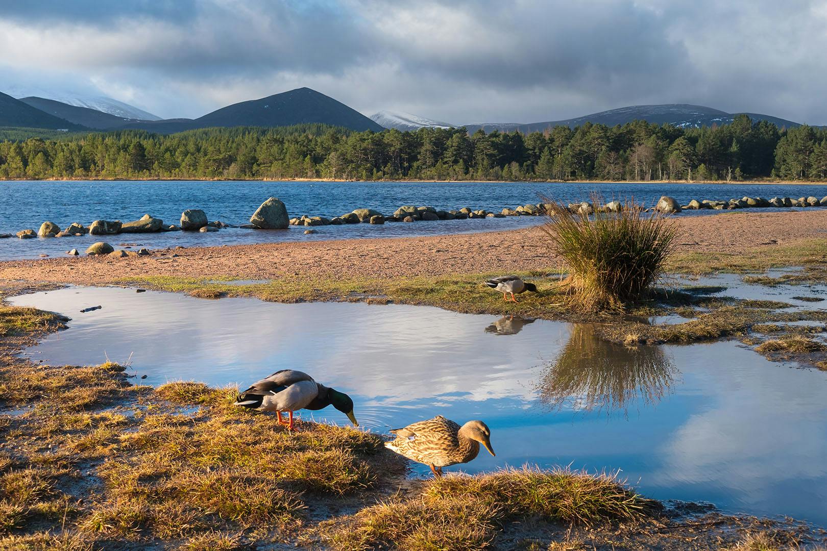 The Coylumbridge Resort Hotel Aviemore