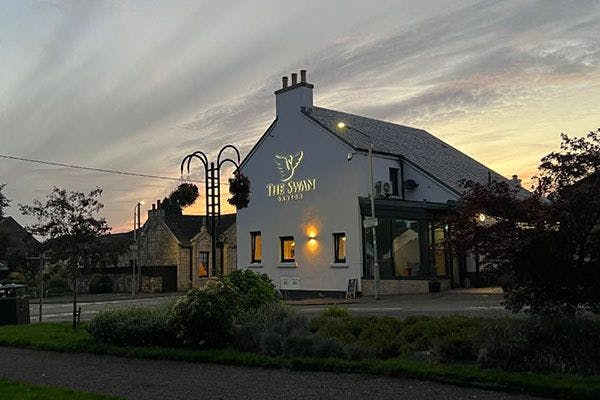 The Swan