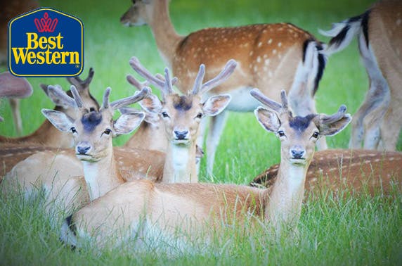 BEST WESTERN Whitworth Hall Hotel