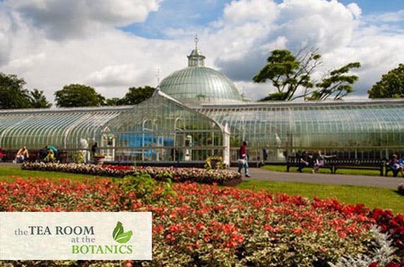 The Tea Room at the Botanics