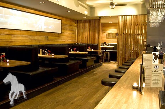 Bath Street Palomino