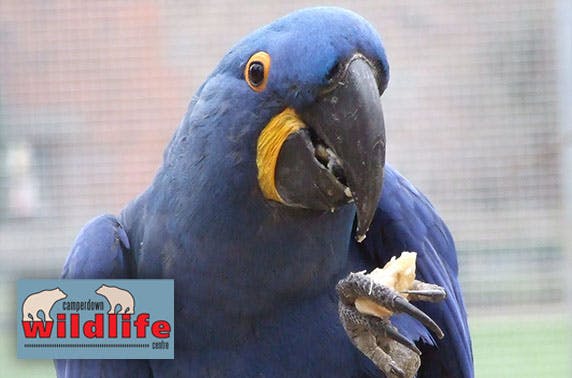 Camperdown Wildlife Centre