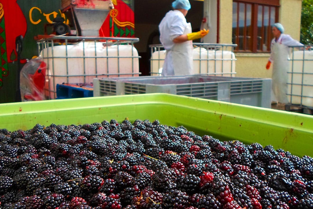 Cairn o' Mohr Winery