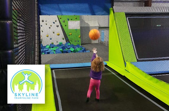 Skyline Trampoline Park