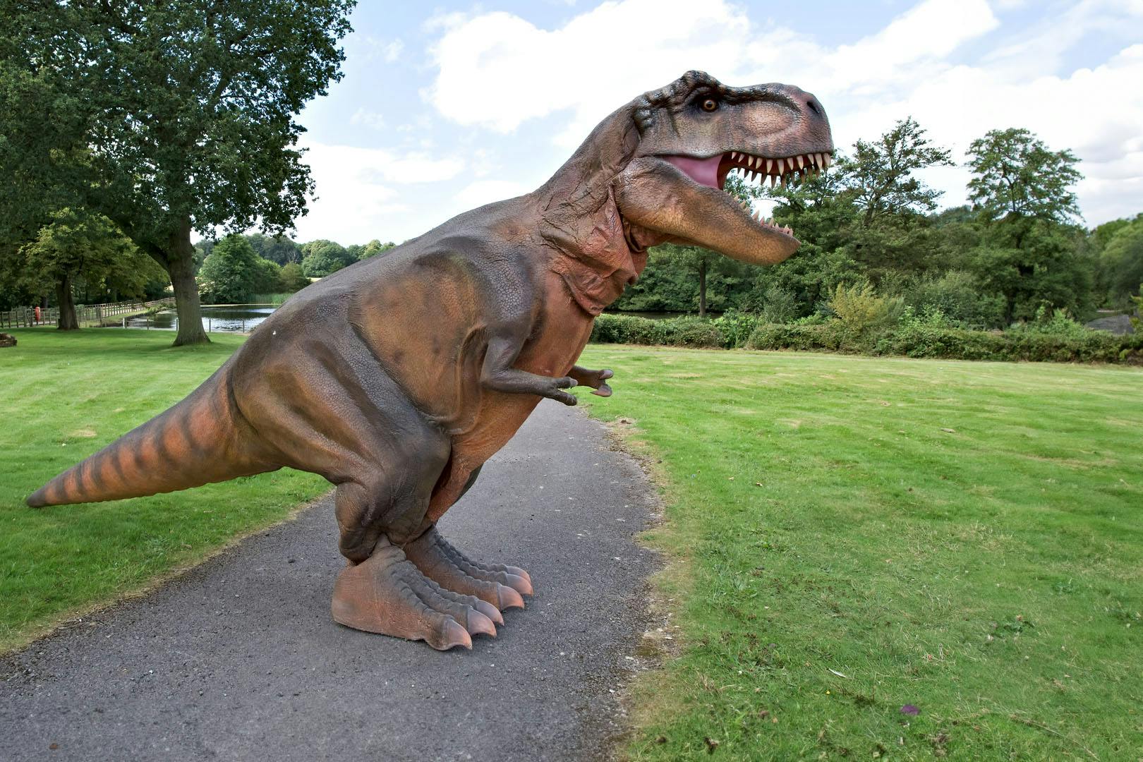 Dinosaur Experiences at Crieff Hydro