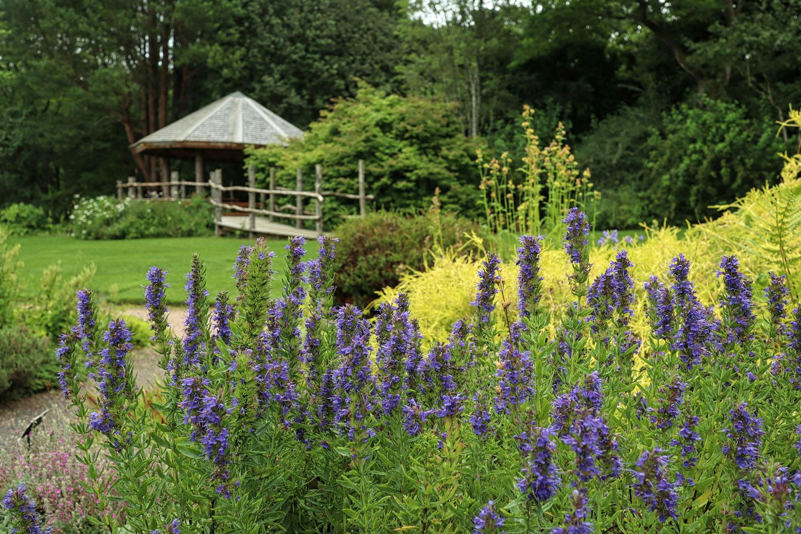 St Andrews Botanic Garden