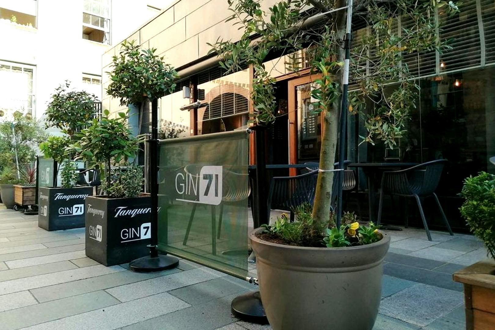 Gin71