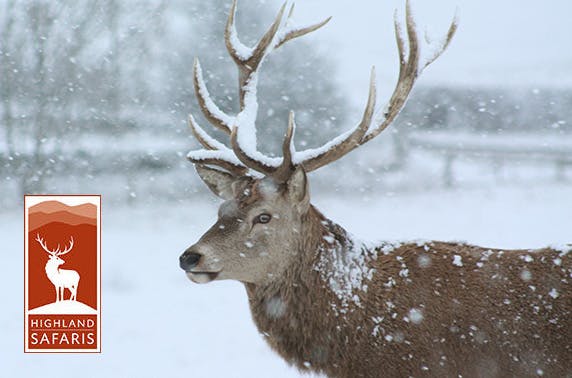Highland Safaris