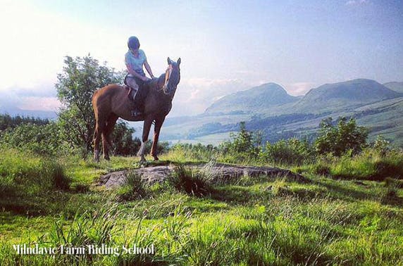 Milndavie Farm Riding Centre