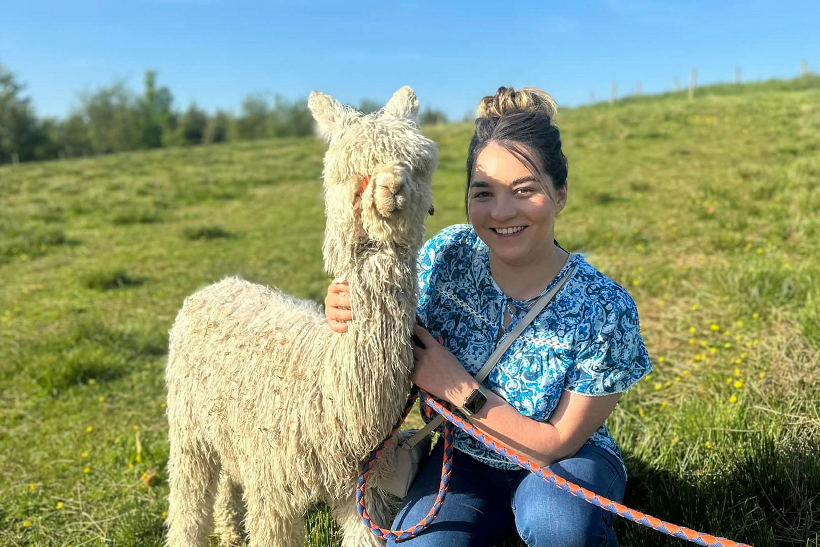 Alpacas Of Scotland Experience