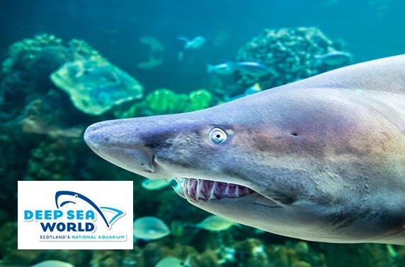 Deep Sea World