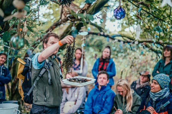 Scottish Wild Food Festival
