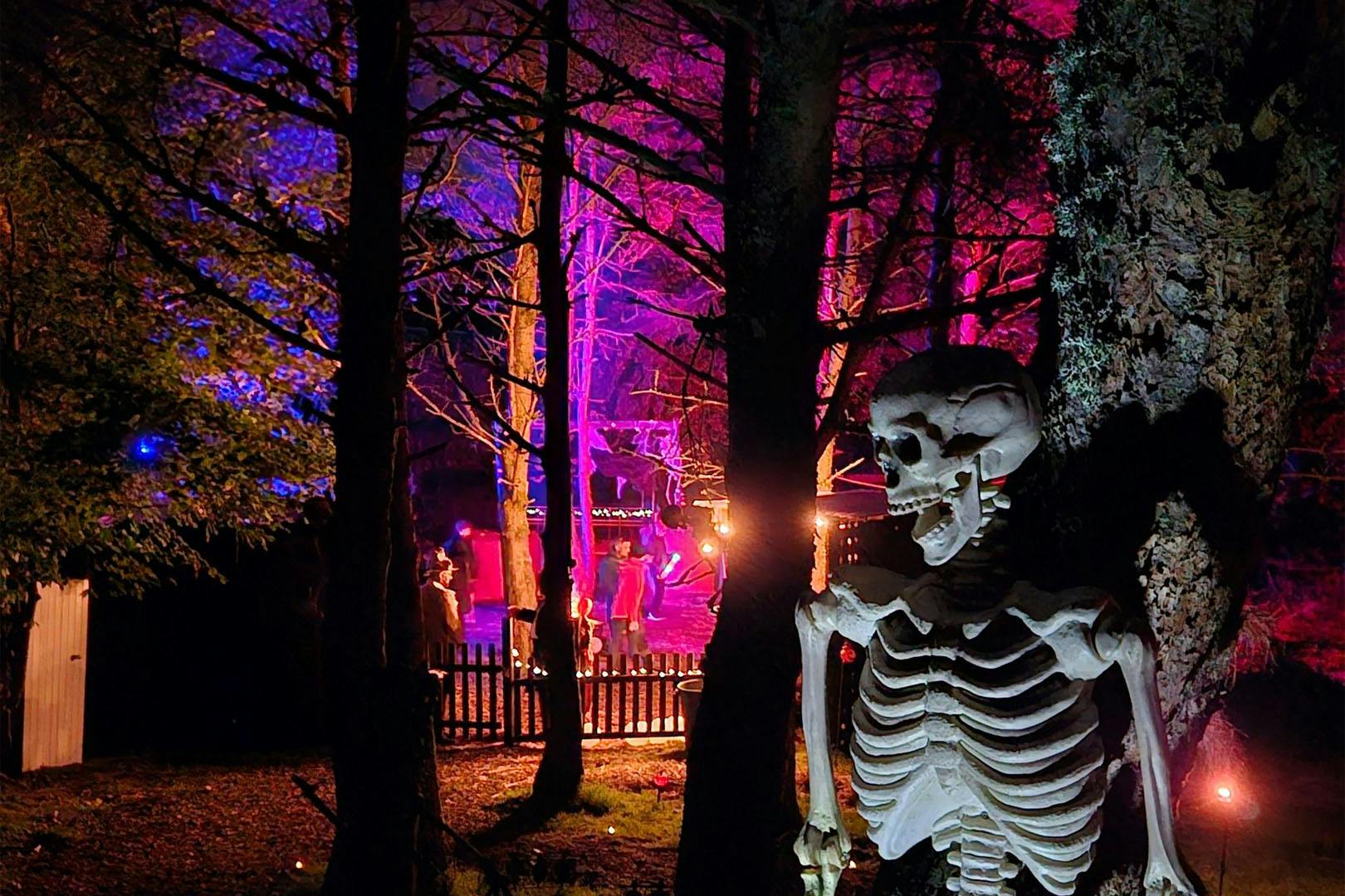 Auchingarrich Wildlife and Adventure Park