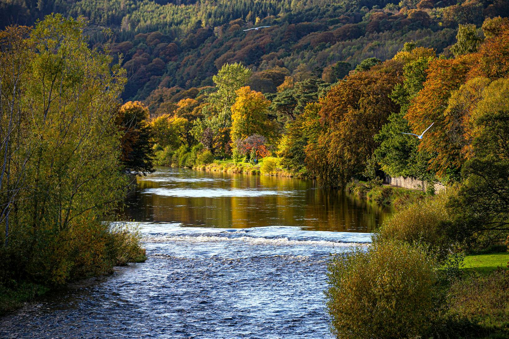 Waverley Castle Hotel