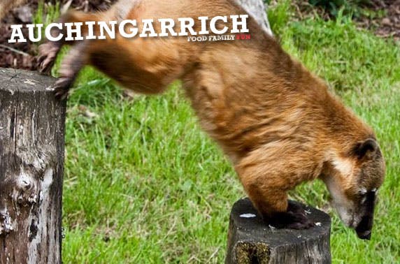 Auchingarrich Wildlife Centre