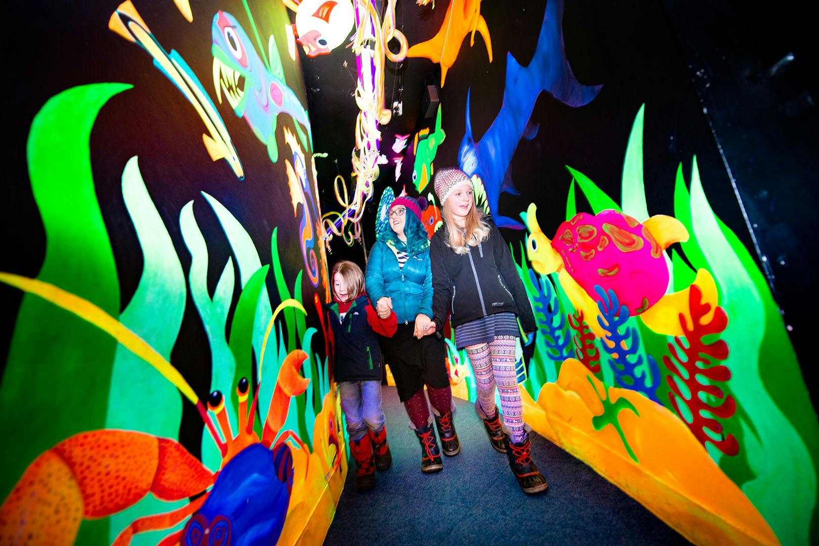 Landmark Forest Adventure Park