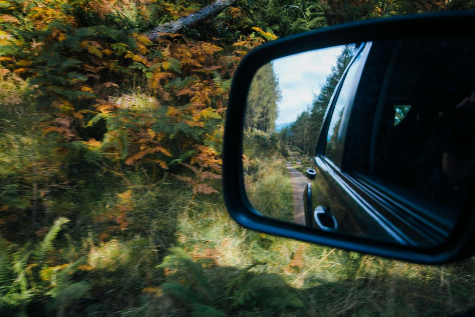 Highland Safaris