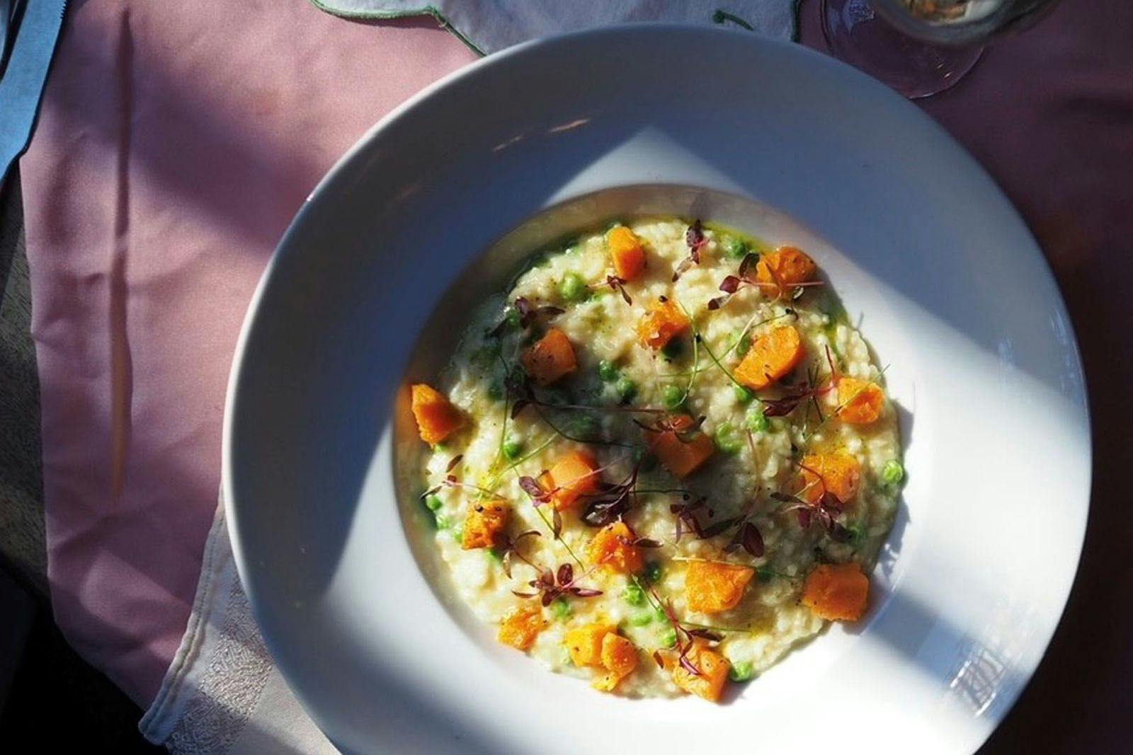 The Butterfly & the Pig