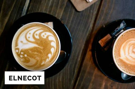Elnecot – itison