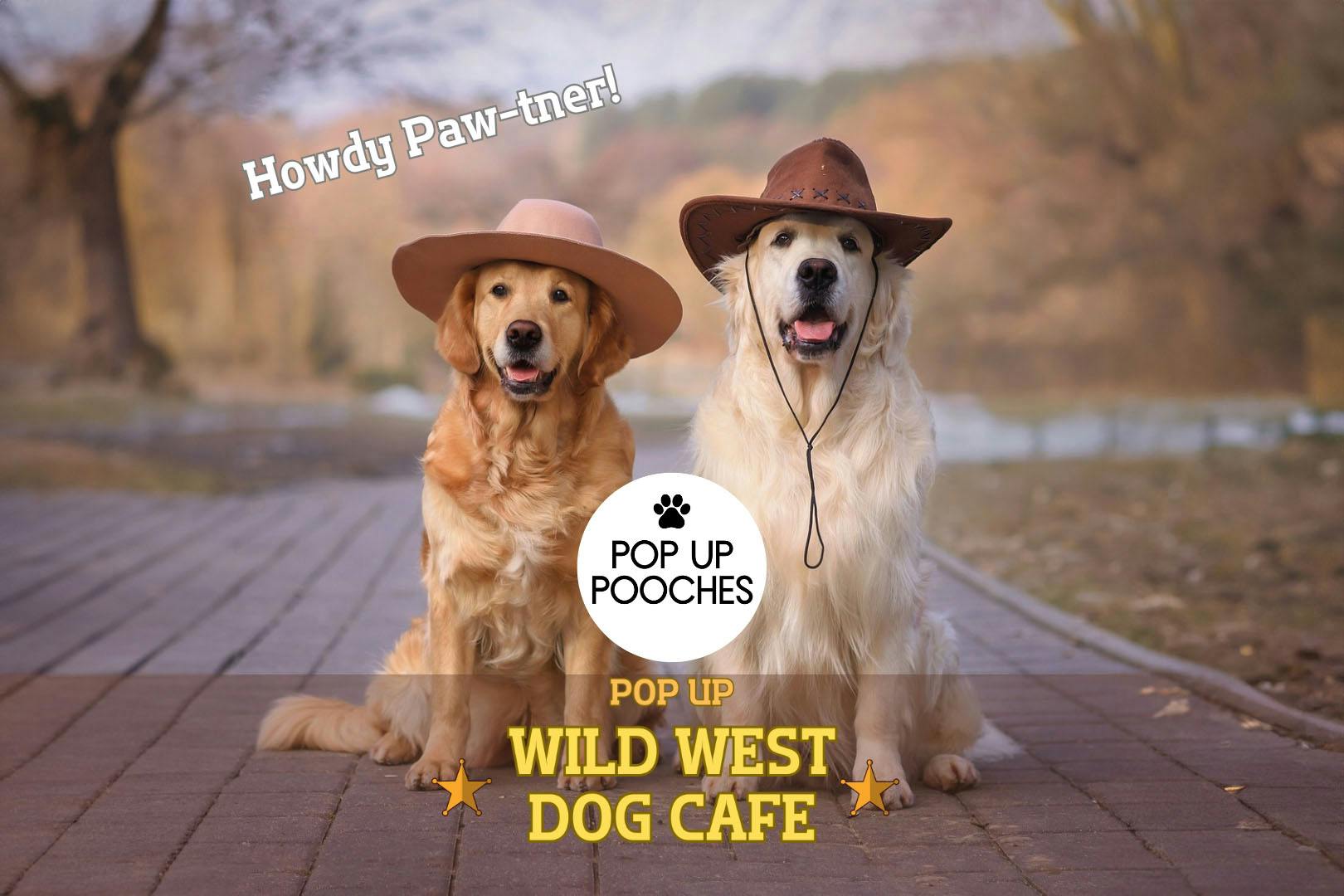 Pop Up Pooches at Revolution, Renfield Street