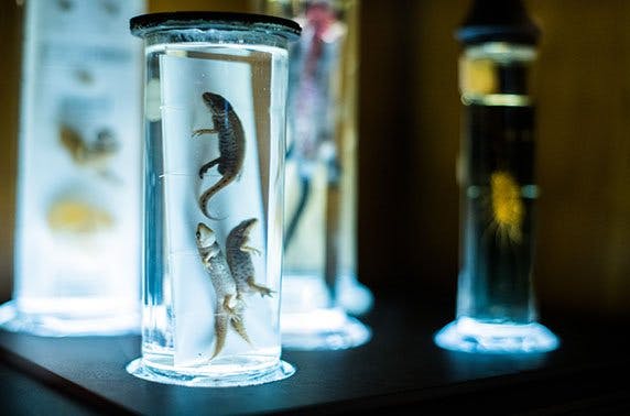 Perth Museum and Art Gallery