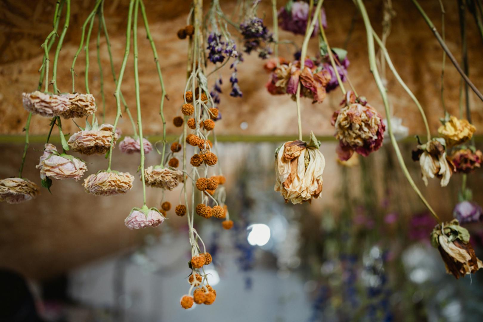 Tomnah’a Market Garden dried flower craft workshops