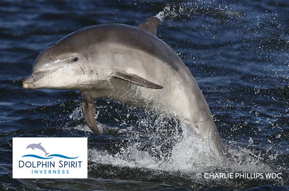 Dolphin Spirit Inverness