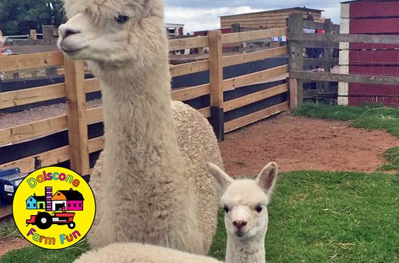 Dalscone Farm Fun 