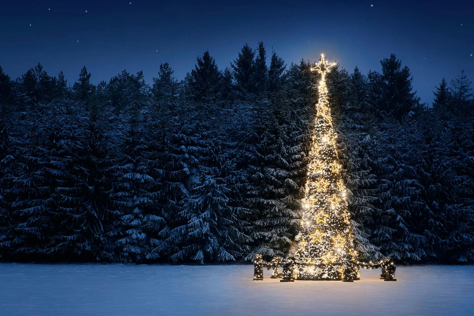 Festive train experience at Crieff Hydro