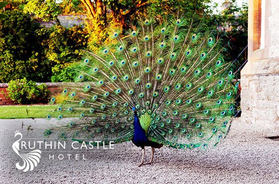 Ruthin Castle
