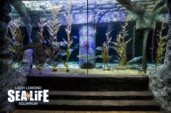 Loch Lomond Sea Life Centre