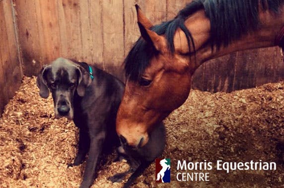 Morris Equestrian Centre