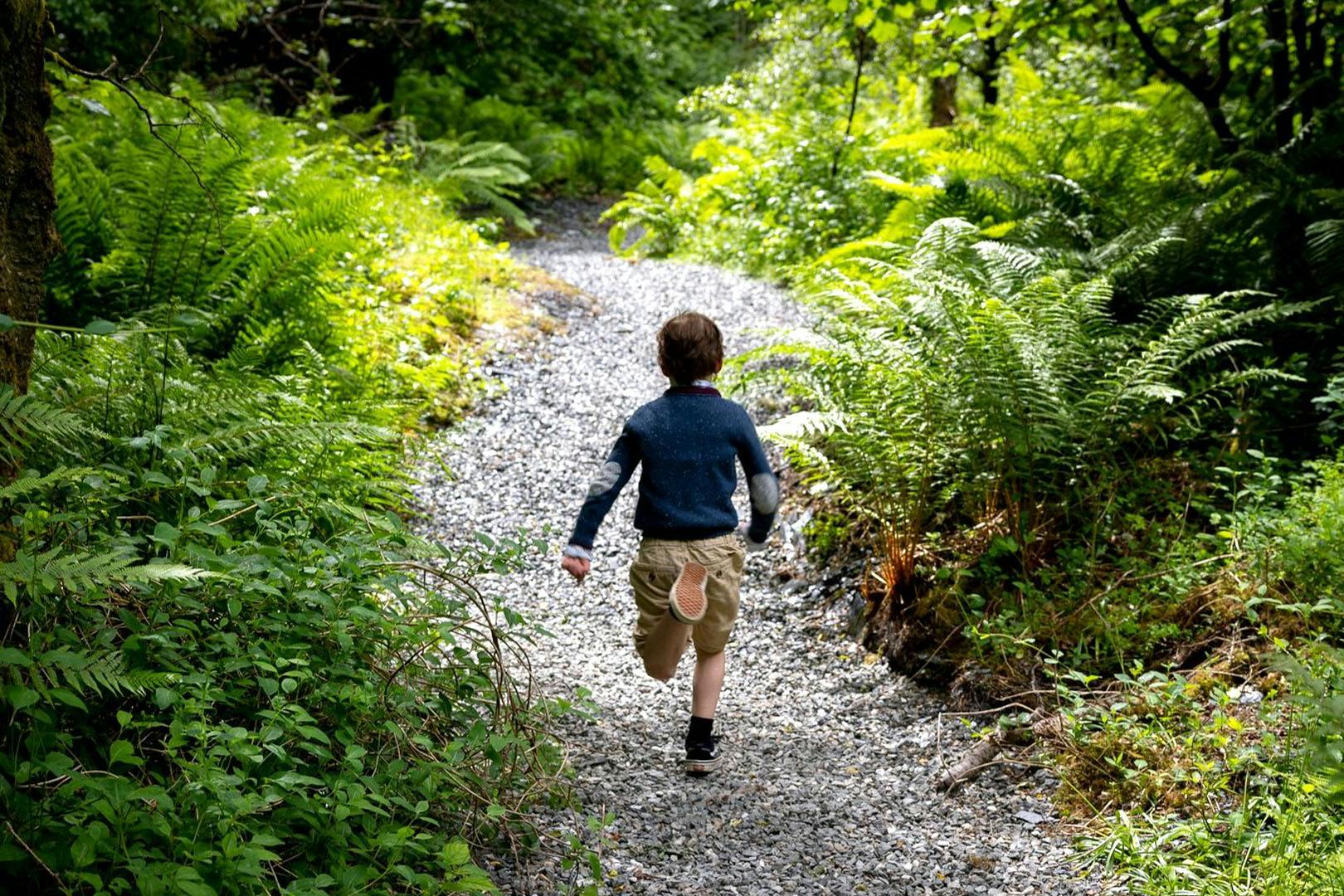 Loch Lomond Nature & Faerie Trails