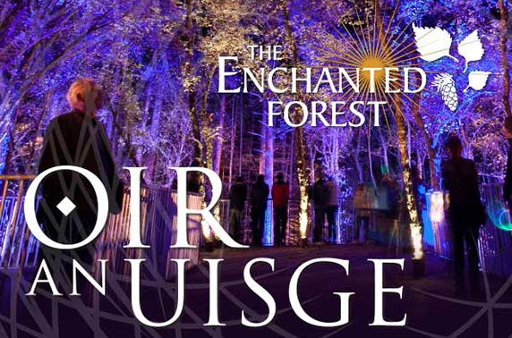 Enchanted Forest