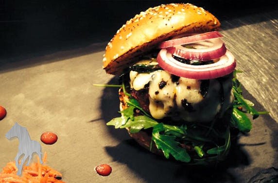 Bath Street Palomino