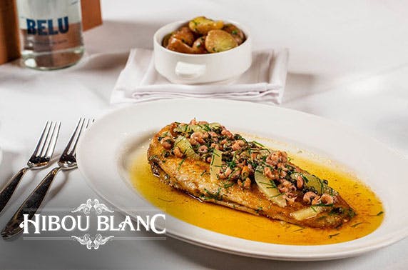 Hibou Blanc