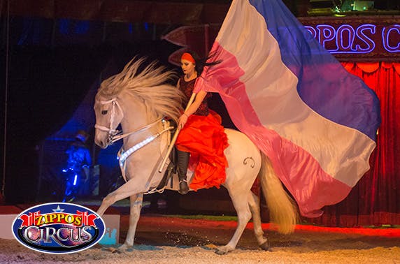 WOC Ltd T/A Zippos Circus