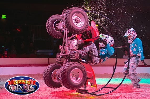 WOC Ltd T/A Zippos Circus