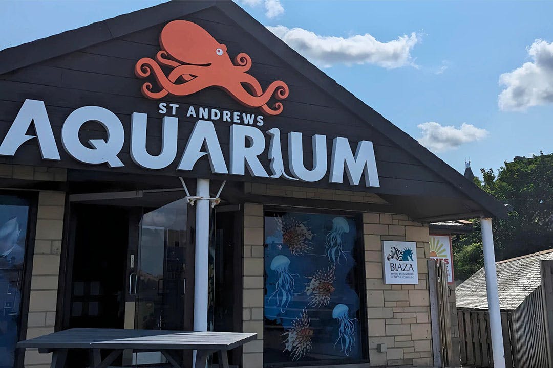 St Andrews Aquarium