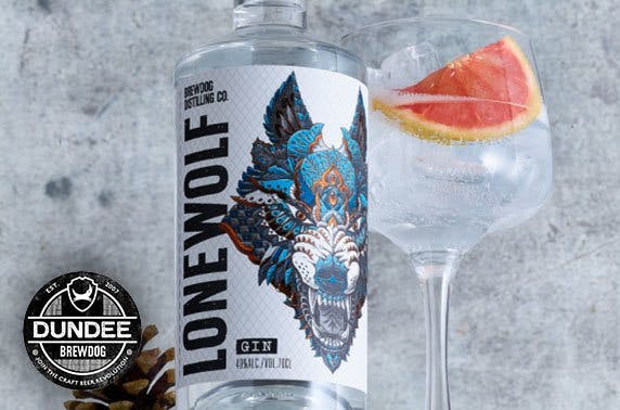 BrewDog Dundee