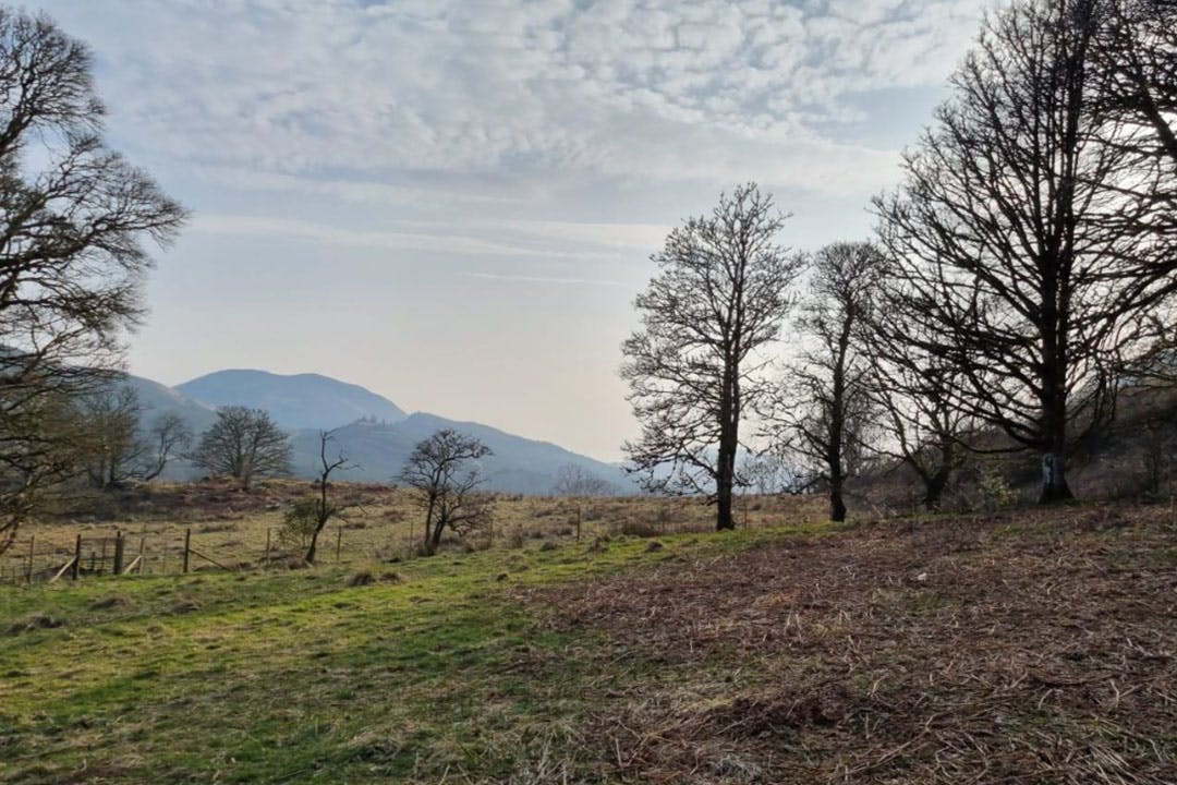 Killean Farmhouse & Cottages