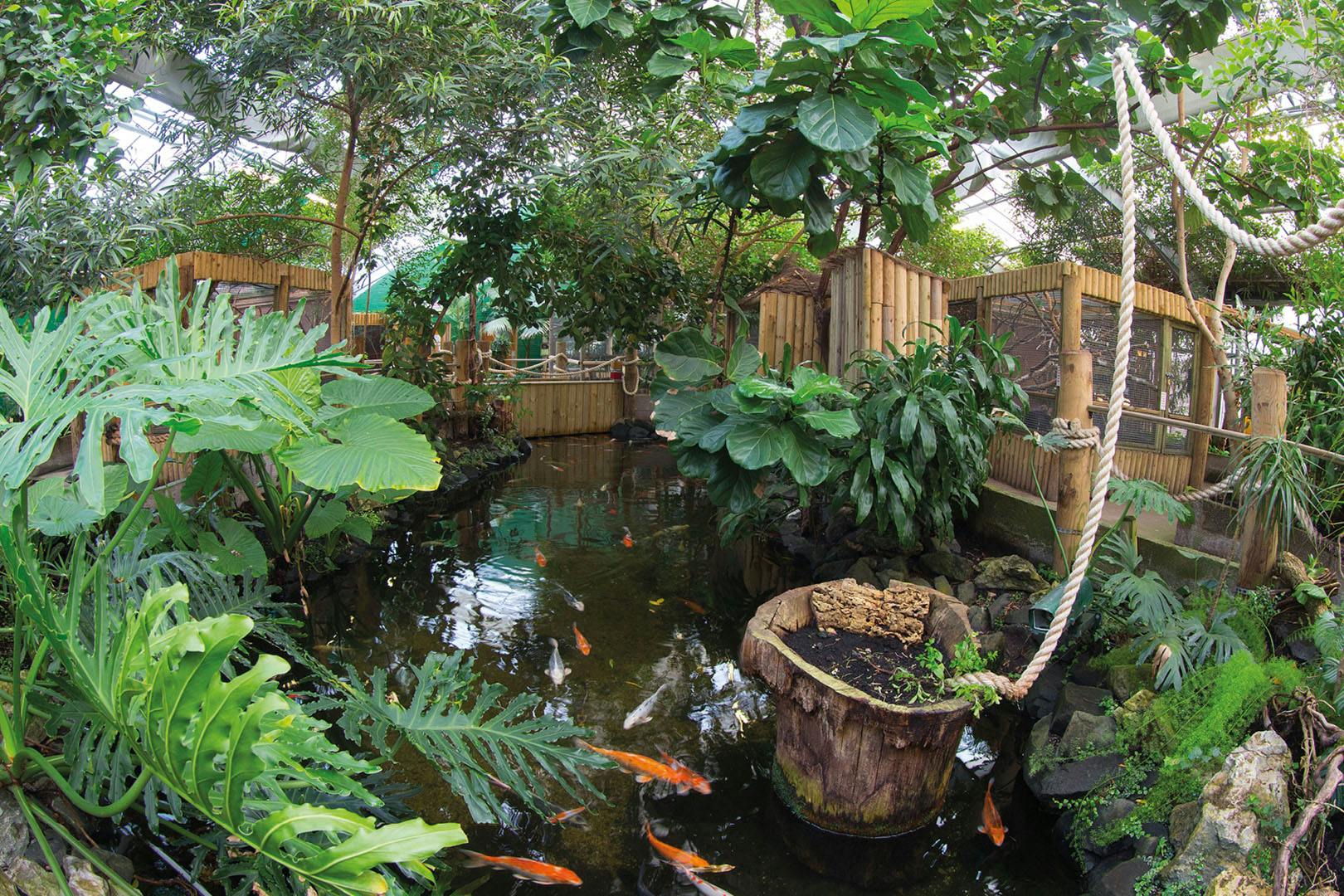 Amazonia at M&Ds