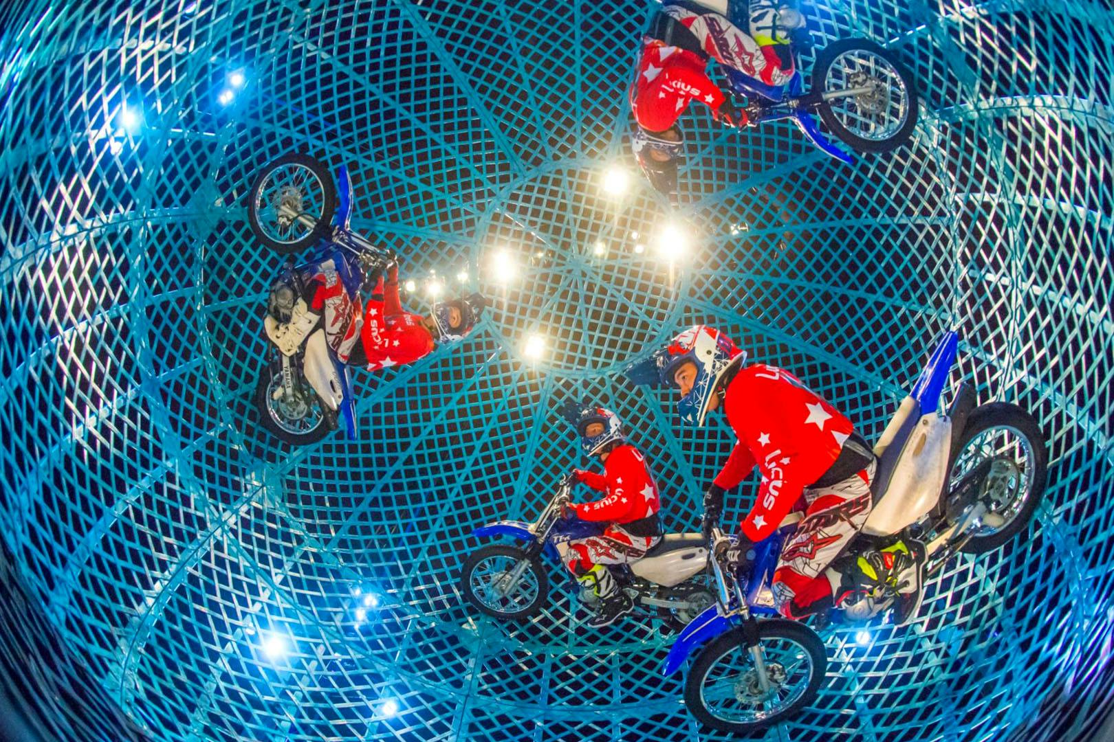 Zippos Circus