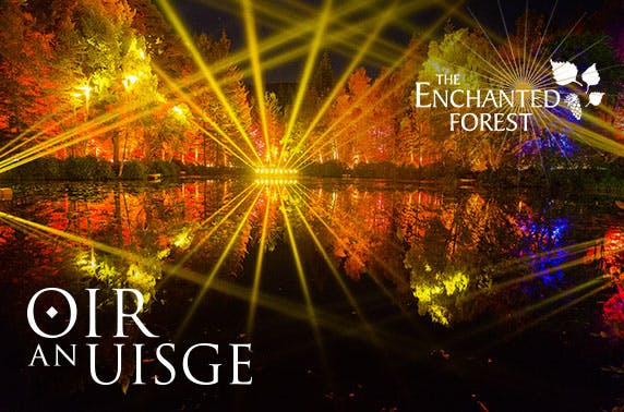 Enchanted Forest