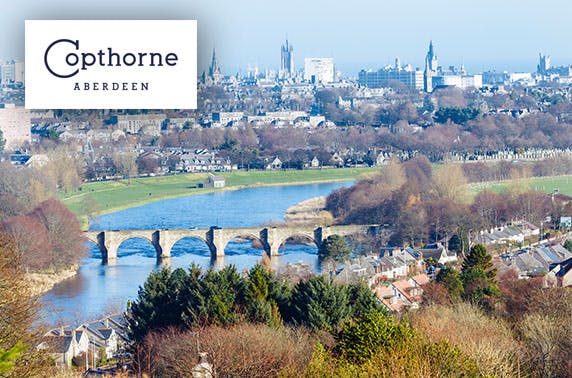 Copthorne Hotel
