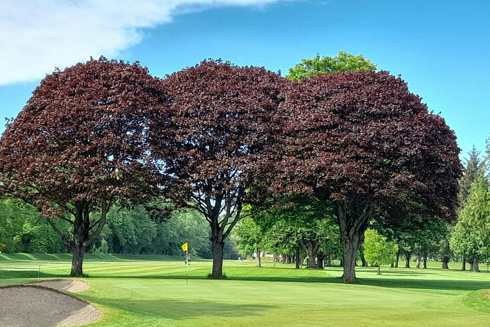 King James VI Golf Club